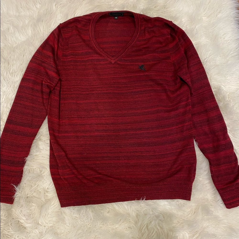 Men’s Red Express V Neck Sweater